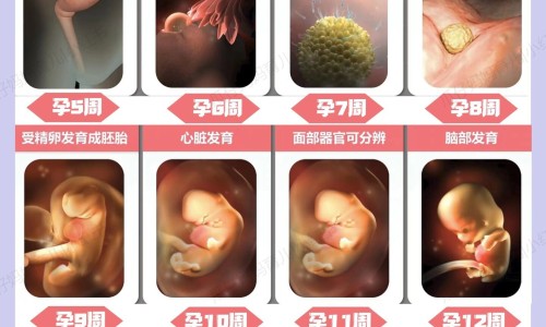 怀孕摔了一跤有点出血-孕妇摔了有淤血网 | 孕妇摔了有淤血怎么消除,孕妇摔了一跤血流不止用测羊水吗